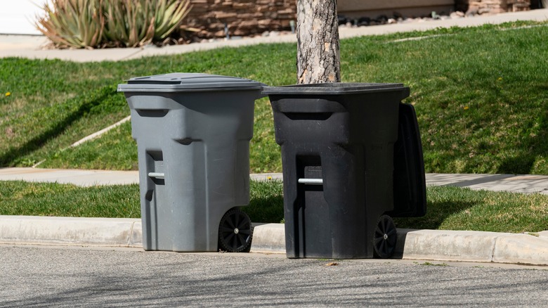 Outdoor trash bins are based at the curb