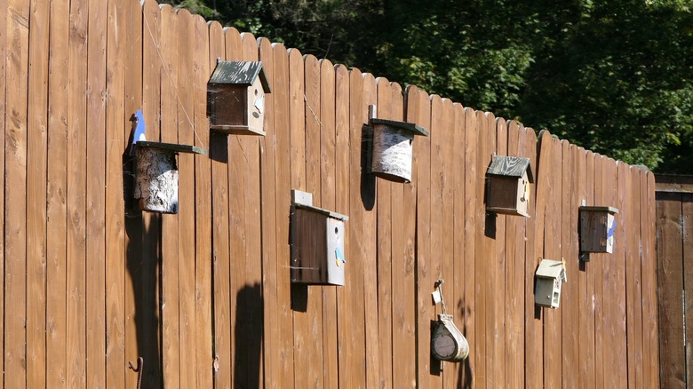 colorful birdhouses on fence