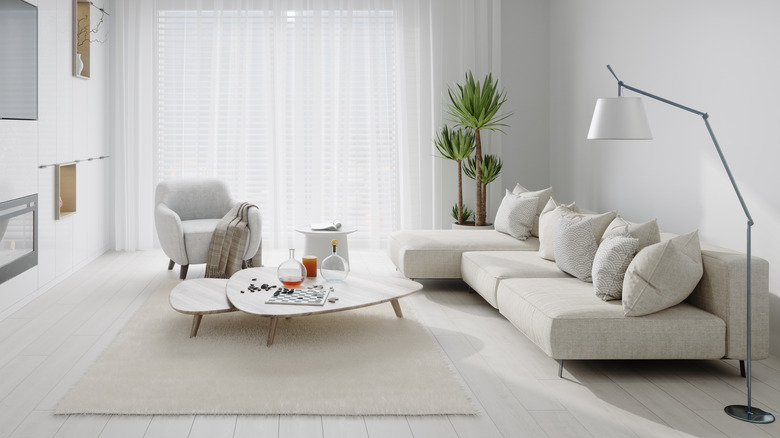 minimalist modern living room with white couch