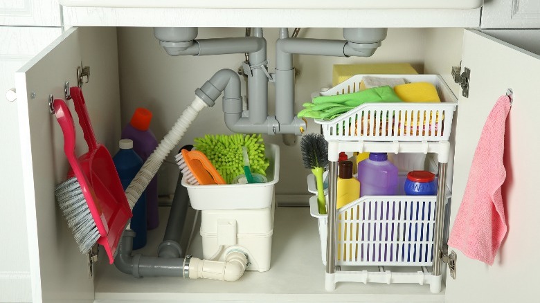 Cleaning supplies stored under sink