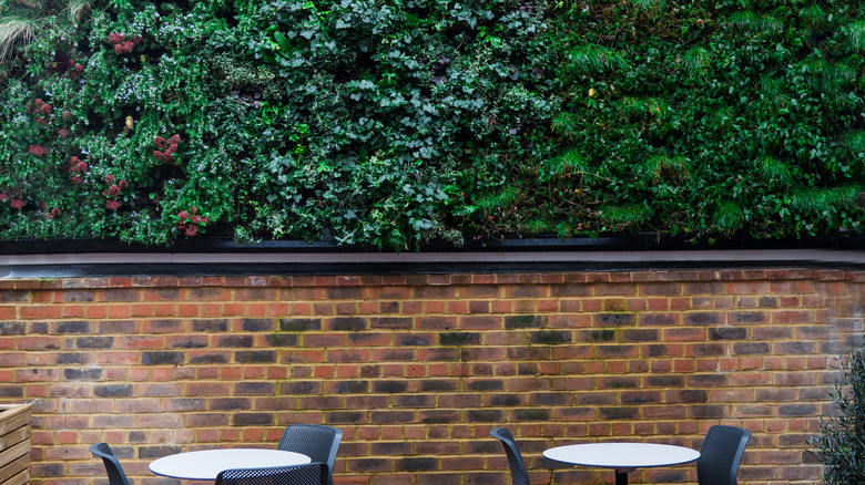 Living wall with chairs