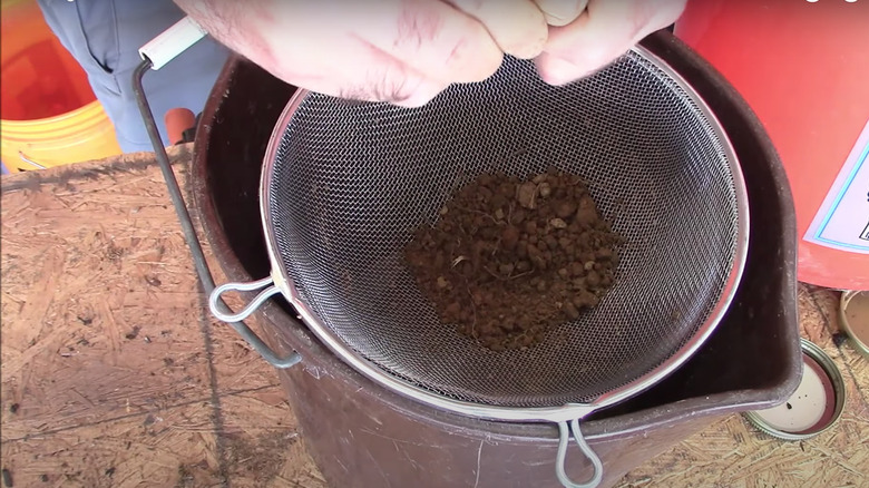 Person sifting garden soil