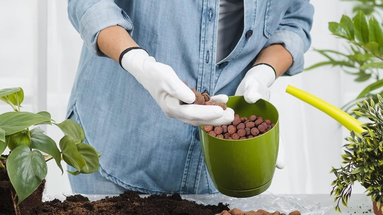 Person holding LECA balls with planter