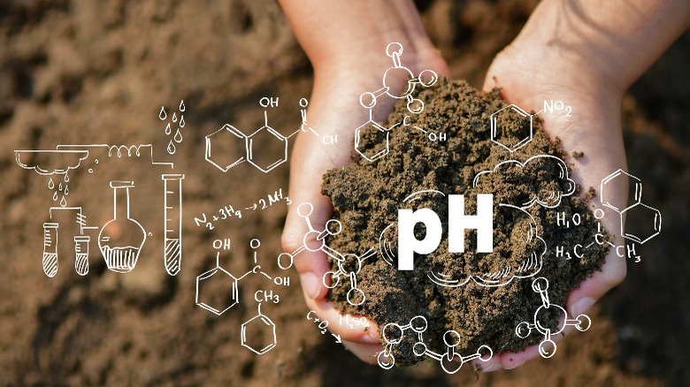 Hands holding soil, pH graphics