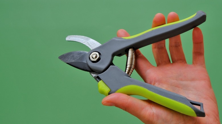 Hand holding garden shears, green background