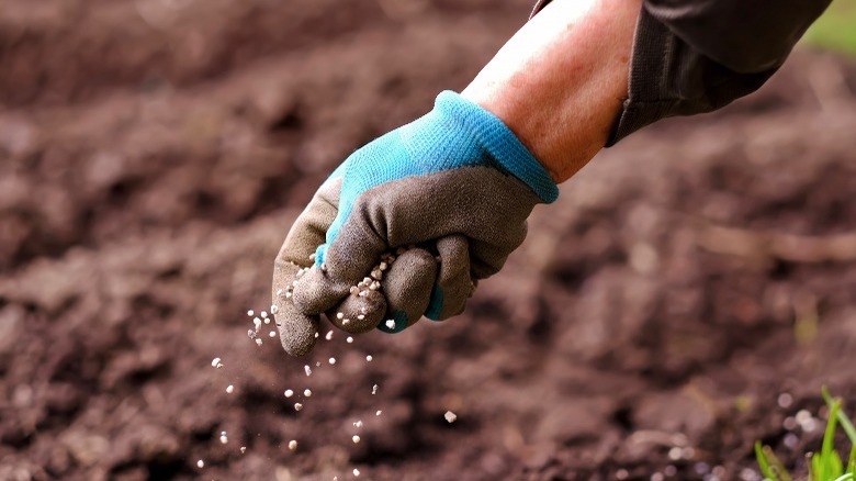 Tossing seeds onto soil