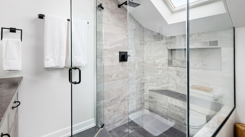 Enclosed glass shower with rainfall shower head and skylight and bench