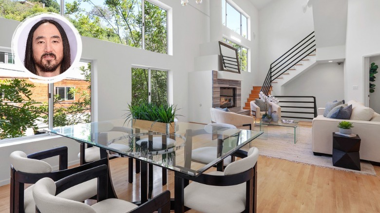 Steve Aoki's Hollywood Hills home