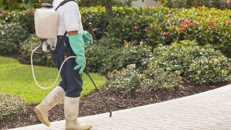 person spraying herbicides