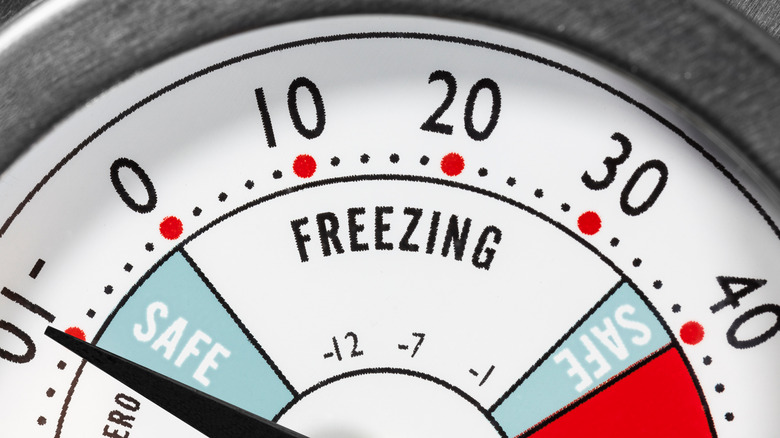 fridge and freezer thermometer