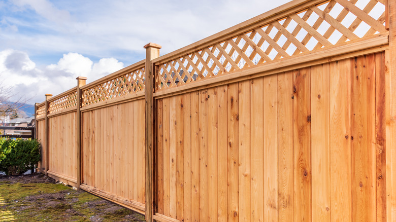 wooden fence in yard