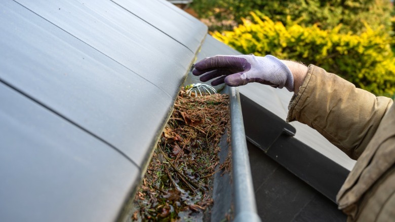 Person wearing work gloves reaching into debris-filled roof gutter