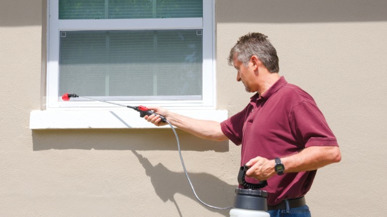 Man spraying pesticide around window on exterior of house