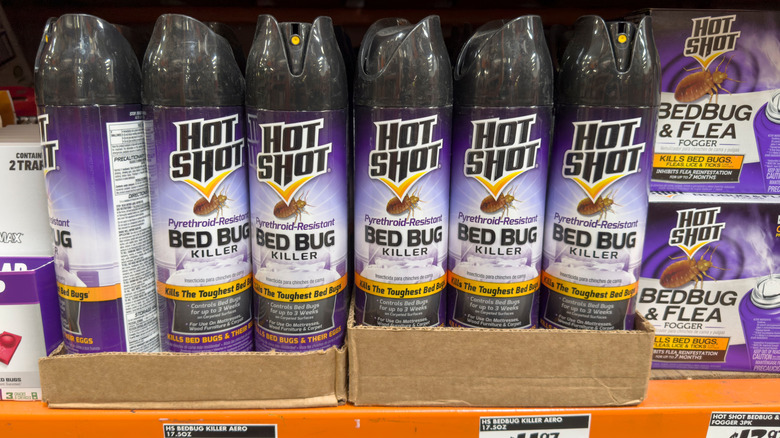 Bed bug products on store shelf