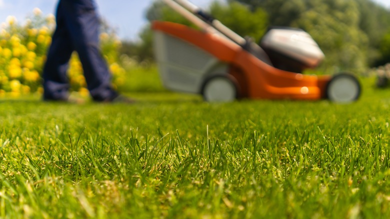 Person mowing the lawn