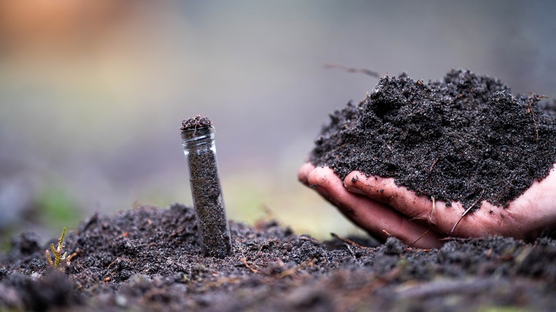 toil in test tube with hand holding soil