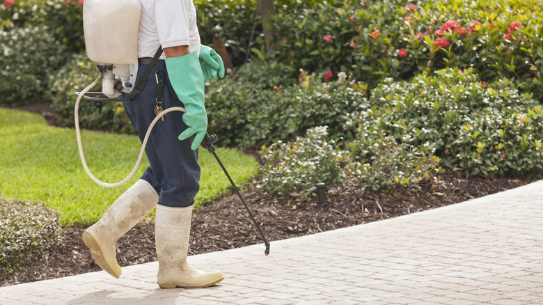 person walking with herbicide sprayer