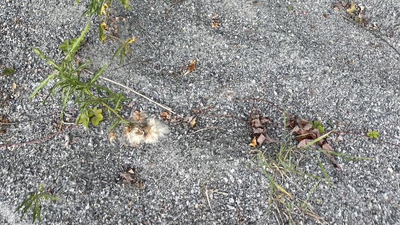 A shovel deep in a pile of gravel