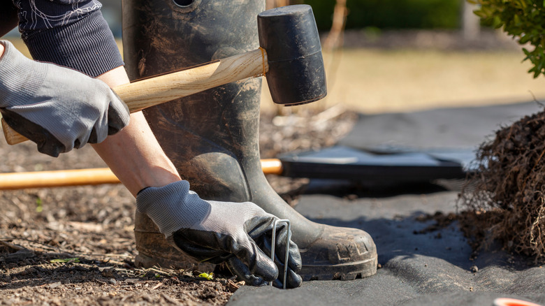 A person securing landscaping fabric