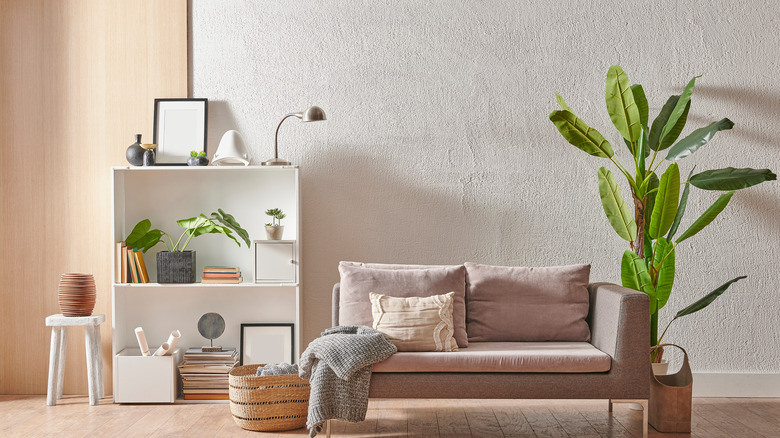 modern living room with plants