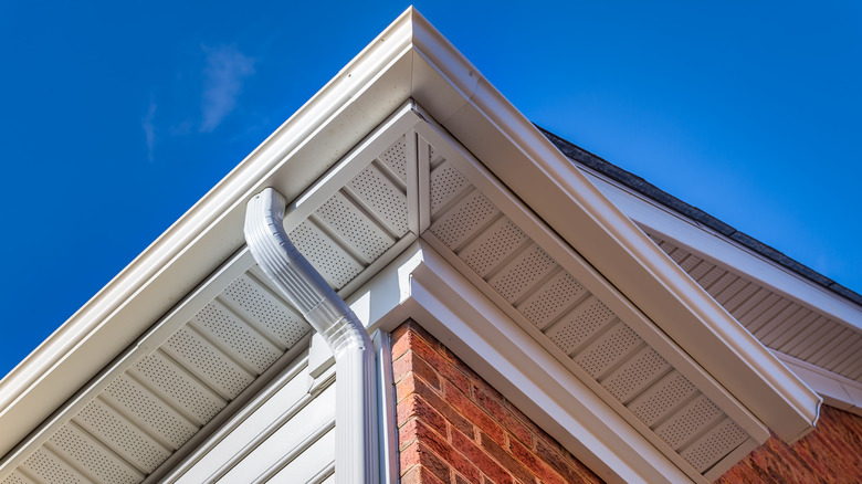 eaves on roof of house