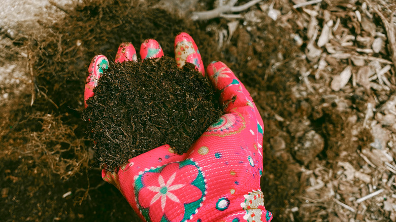 A person wearing a pink floral patterned gardening glove holding up a handful of dirt