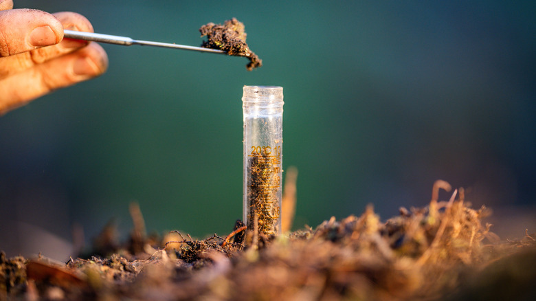 A person collecting a soil sample to test