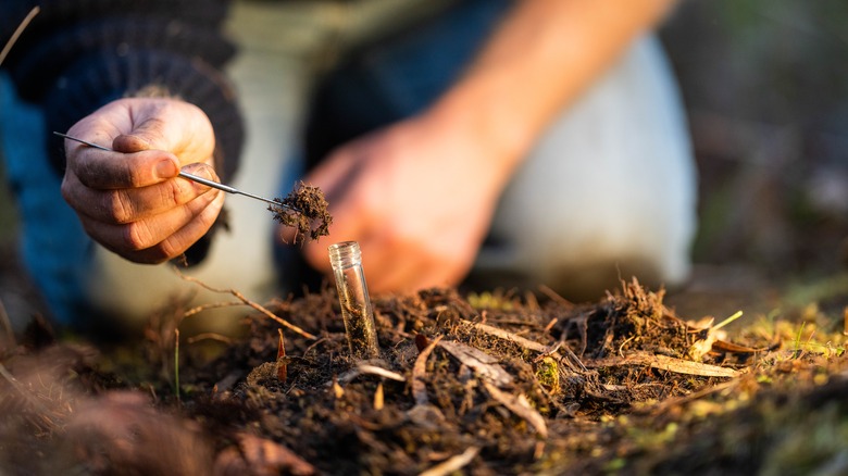 A person collecting soil to test