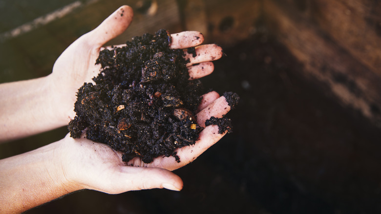 Two hands holding soil