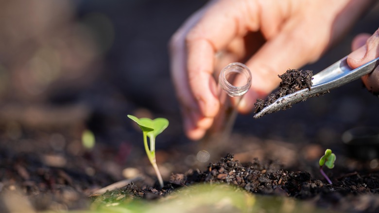 Collecting soil samples for a test