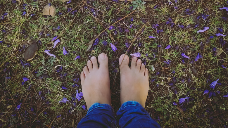 bare feet on a natural ground cover path