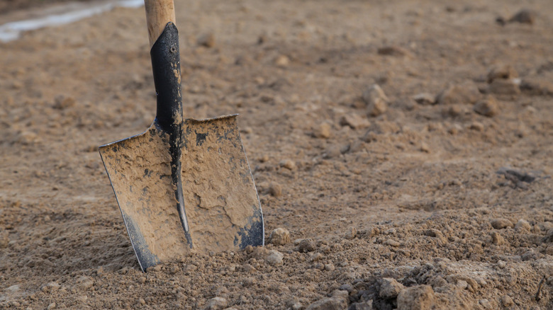 Dry clay soil