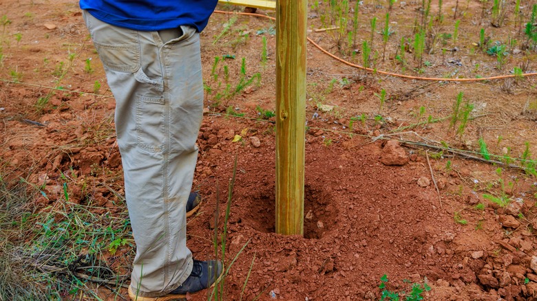 Pushing a fence post into the ground