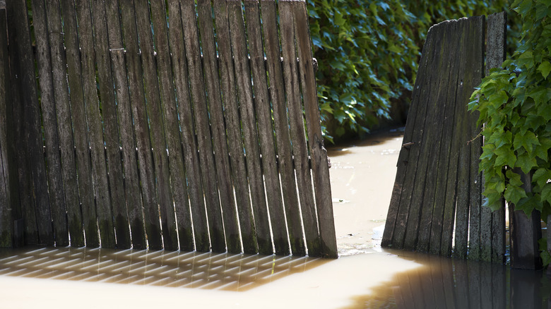 Water pooling around a fence gate