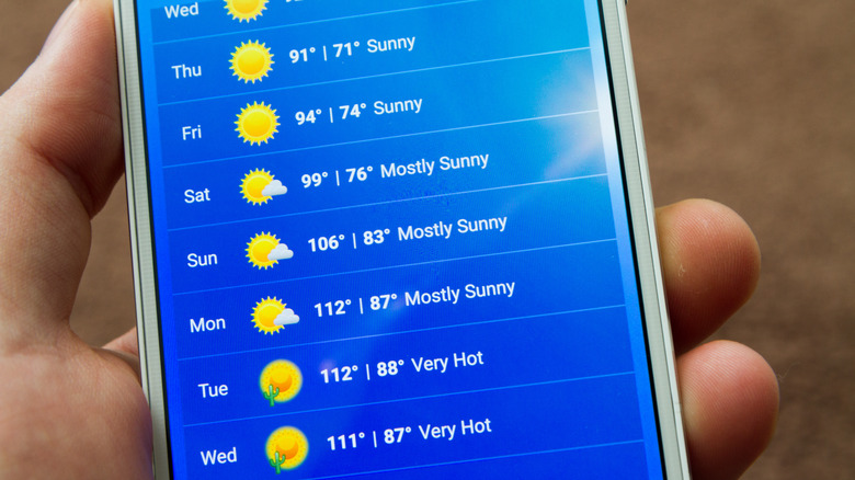 phone displaying weather forecast 