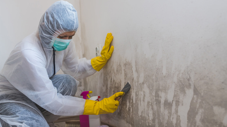 person cleaning dirty wall