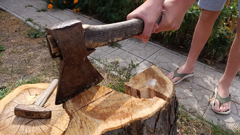 Naked hands holding ax over tree stump in yard