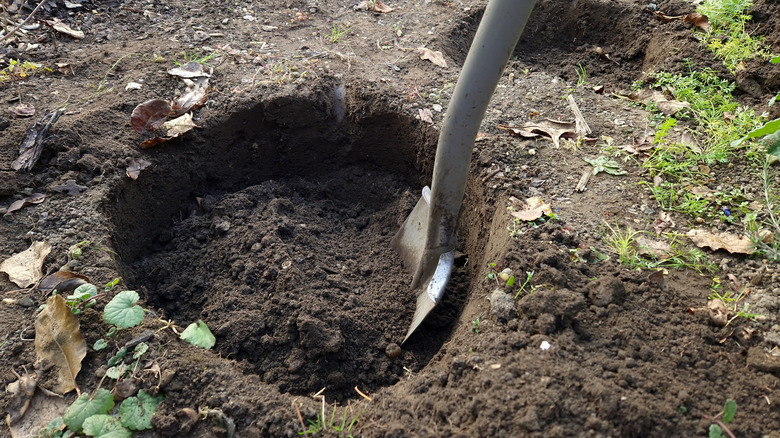 Filling a big hole in yard with soil