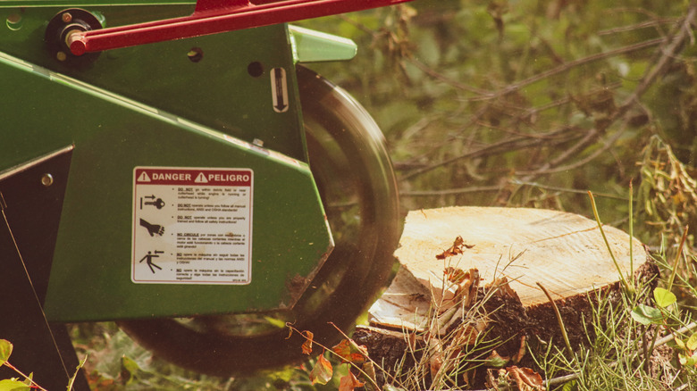 Stump grinder over a tree stump