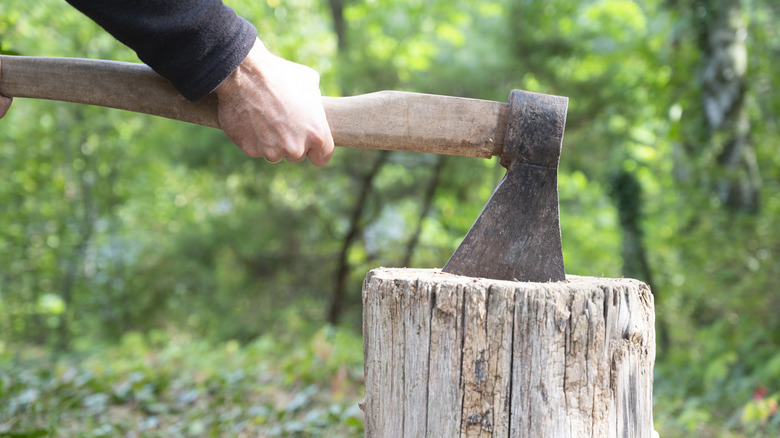 Bare hand holding ax over tree stump