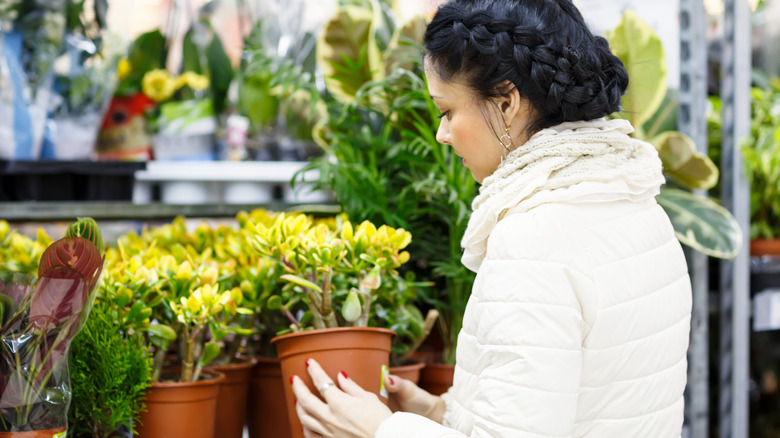 A woman shopping plants