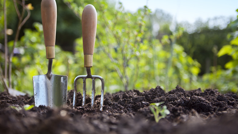 Close up of hand shovel and garden fork