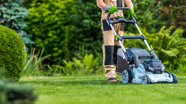 Lawn mower on top of grass