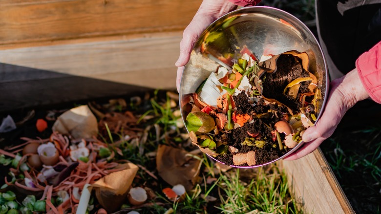 compost pile