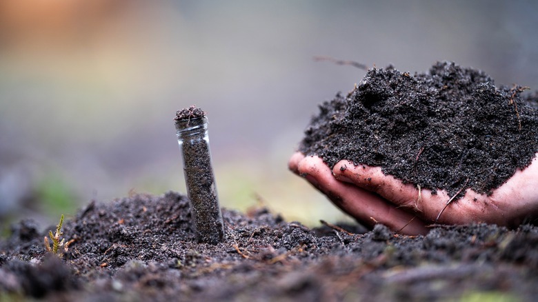 soil testing