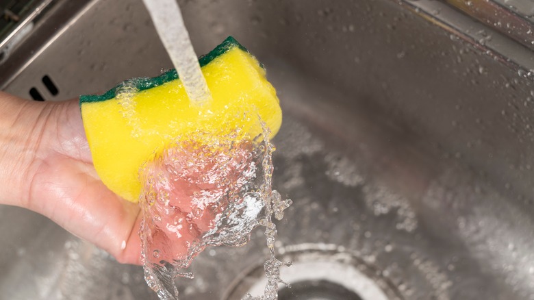 Handing holding a sponge under running water