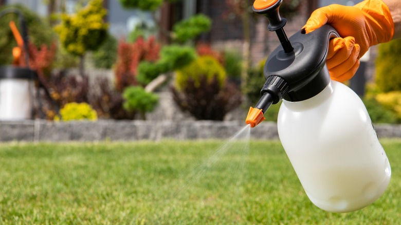 herbicide use in a lawn