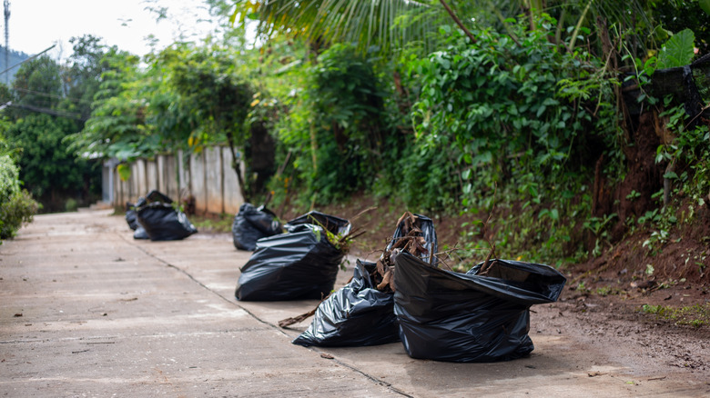 Trash bags full of weeds on a driveway