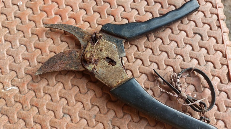 Dirty rusted pruning shears