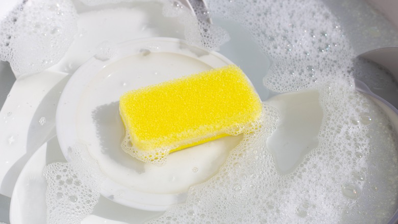 Sponge in soapy water